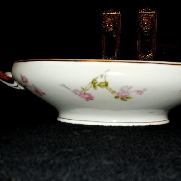 C.T. Altwasser Porcelain Serving Bowl Carl Tielsch Altwasser  vintage - Picture 1 of 2